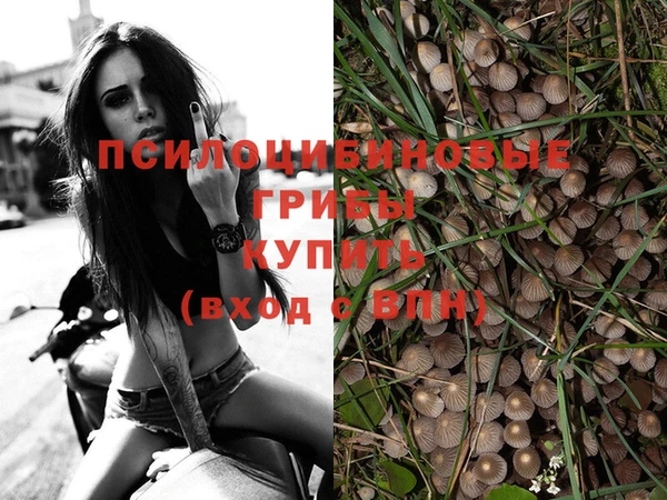 стафф Арсеньев