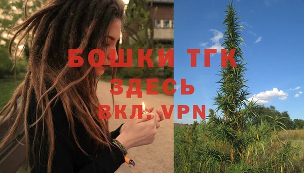 стафф Арсеньев