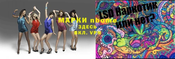 стафф Арсеньев