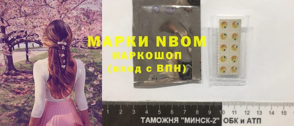 стафф Арсеньев