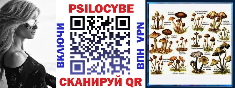 KRAKEN ссылки  Удомля  Псилоцибиновые грибы Psilocybine cubensis 